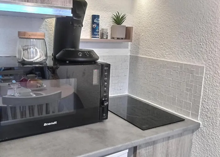 Apartman : Intime Au Bord Du Des Gaillands Et Pistes De Chamonix